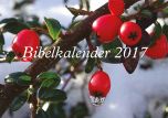 Bibelkalender 2017