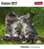 Katzen Postkortkalender 2017