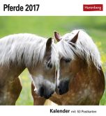 Pferde Postkortkalender 2017