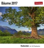 Bäume Postkortkalender 2017