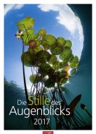 Die Stille des Augenblicks 2017