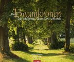 Unter Baumkronen - Shady Avenues 2017