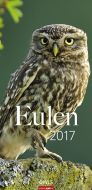 Eulen - Owls 2017
