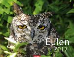 Eulen - Owls 2017