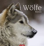 Wölfe - Wolves 2017