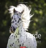 Pferde - Horses 2017