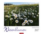 Wiesenblumen - Field Flowers 2017