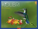 Kolibri - Hummingbirds 2017