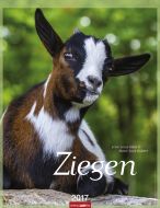 Ziegen - Goats 2017