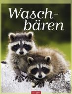 Waschbären - Piglets 2017