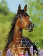 Pferde - Schönheit und Eleganz - Horses 2017