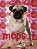 Mops  Kalender - Pugs 2017