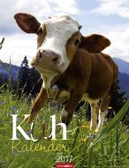 Kuh Kalender - Cows 2017