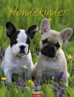 Hundekinder - Puppies 2017