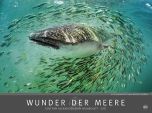 Wunder der Meere 2017