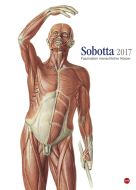 Sobotta Edition 2017