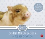 Kleiner Schatz Maxi Postkortkalender 2017