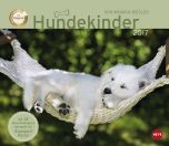 Hundekinder Maxi Postkortkalender 2017