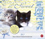 Sweetheart Katzen Maxi Postkortkalender 2017