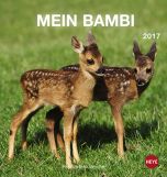 Mein Bambi Postkortkalender 2017