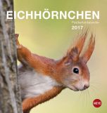 Eichhörnchen Postkortkalender 2017