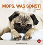 Mops Postkortkalender 2017