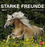 Pferde Postkortkalender 2017