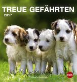 Hunde Postkortkalender 2017