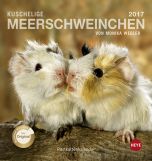 Meerschweinchen Postkortkalender 2017