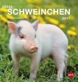 Süße Schweinchen Postkortkalender 2017