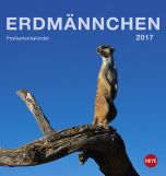 Erdmännchen Postkortkalender 2017