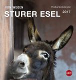 Esel Postkortkalender 2017