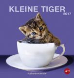 Katzen Postkortkalender 2017