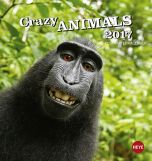 Crazy Animals Postkortkalender 2017