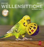 Wellensittiche Postkortkalender 2017