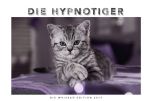 Whiskas Katzenkalender 2017