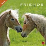 Friends Pferde Posterkalender 2017