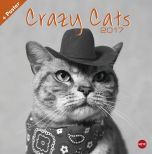 Crazy Cats Posterkalender 2017