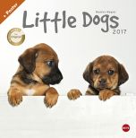 Wegler - Little Dogs Posterkalender 2017