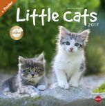 Wegler - Little Cats Posterkalender 2017