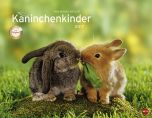 Kaninchenkinder Posterkalender 2017