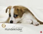 Hundekinder Posterkalender 2017