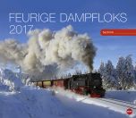 Dampfloks Technik 2017