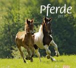 Bildkalender Pferde 2017