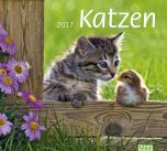 Bildkalender Katzen 2017