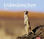 Bildkalender Erdmännchen 2017