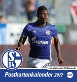 Schalke 04 Postkortkalender 2017