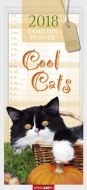 Familienplaner Cool Cats Kalender 2018