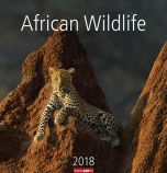 African Wildlife 2018 Kalender