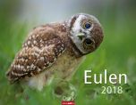 Eulen 2018 Kalender